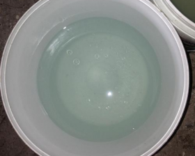 麻豆资源在线观看
